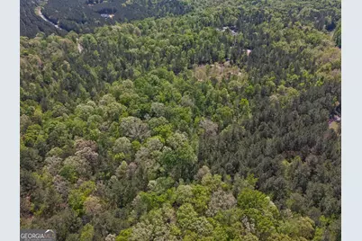 302 Goodwyne Road, Forsyth, GA 31029 - Photo 3