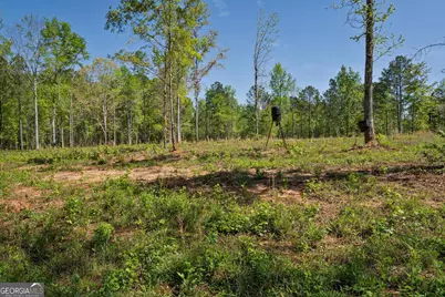 302 Goodwyne Road, Forsyth, GA 31029 - Photo 9