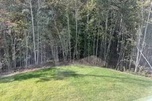 517 Principal Meridian Dr, Dallas, GA 30132 - Photo 17