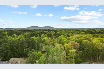 1365 Willis Lake Drive, Kennesaw, GA 30152 - Photo 5