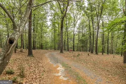 3989 Union Church Road, Fort Valley, GA 31030 - Photo 37