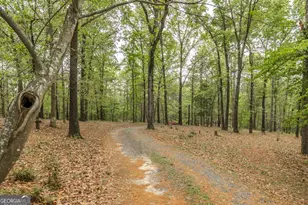 3989 Union Church Rd, Fort Valley, GA 31030 - Photo 37