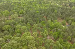 3989 Union Church Rd, Fort Valley, GA 31030 - Photo 45