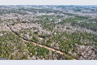 169 Cotton Lane, Cataula, GA 31804 - Photo 37