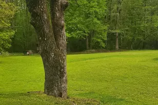 384 Enon Grove Rd, Franklin, GA 30217 - Photo 87