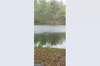 384 Enon Grove Road, Franklin, GA 30217 - Photo 17