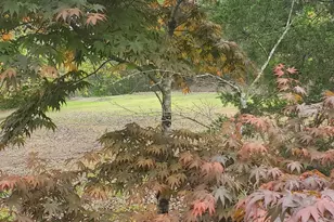 384 Enon Grove Rd, Franklin, GA 30217 - Photo 101