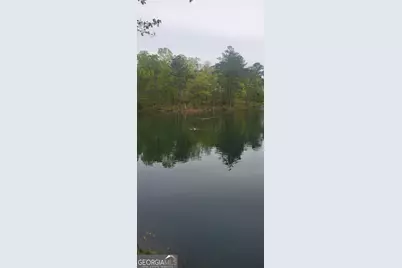 384 Enon Grove Road, Franklin, GA 30217 - Photo 103