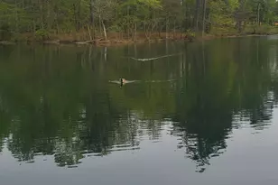 384 Enon Grove Rd, Franklin, GA 30217 - Photo 103