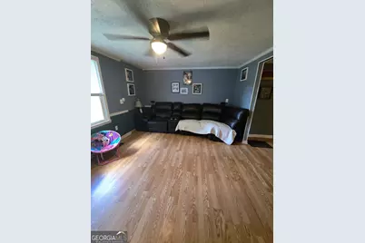 384 Enon Grove Road, Franklin, GA 30217 - Photo 37