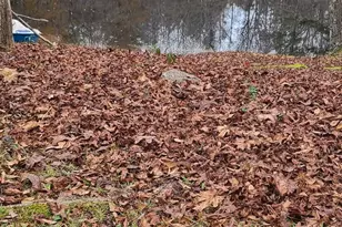 384 Enon Grove Rd, Franklin, GA 30217 - Photo 107