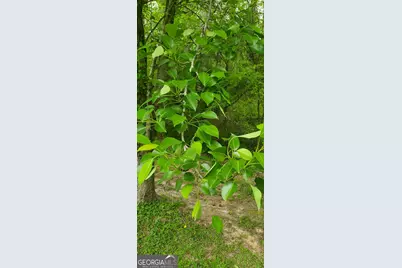 384 Enon Grove Road, Franklin, GA 30217 - Photo 91