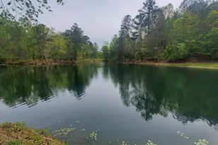 384 Enon Grove Rd, Franklin, GA 30217 - Photo 117