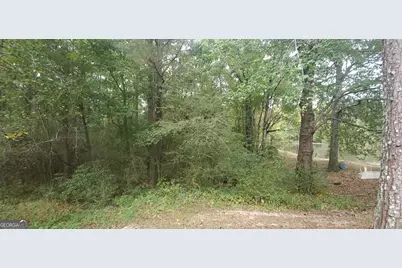 384 Enon Grove Road, Franklin, GA 30217 - Photo 73