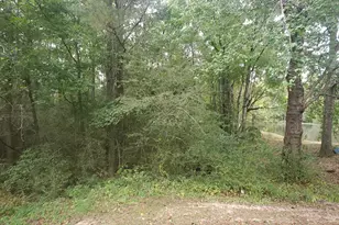 384 Enon Grove Rd, Franklin, GA 30217 - Photo 73