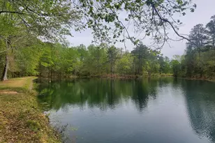 384 Enon Grove Rd, Franklin, GA 30217 - Photo 7