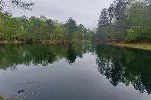 384 Enon Grove Rd, Franklin, GA 30217 - Photo 5