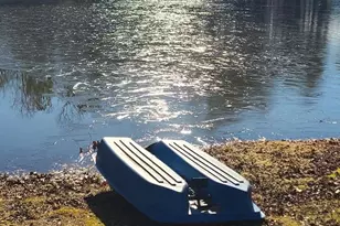 384 Enon Grove Rd, Franklin, GA 30217 - Photo 109