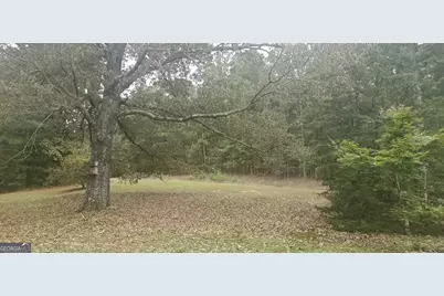 384 Enon Grove Road, Franklin, GA 30217 - Photo 77