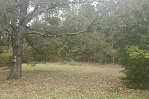 384 Enon Grove Rd, Franklin, GA 30217 - Photo 77