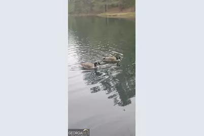 384 Enon Grove Road, Franklin, GA 30217 - Photo 15