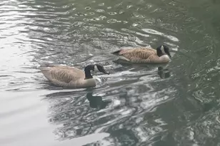 384 Enon Grove Rd, Franklin, GA 30217 - Photo 15