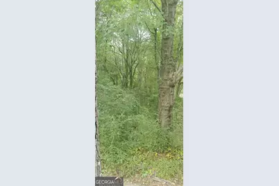 384 Enon Grove Road, Franklin, GA 30217 - Photo 75