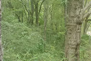 384 Enon Grove Rd, Franklin, GA 30217 - Photo 75