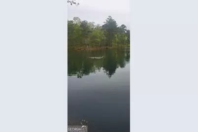 384 Enon Grove Road, Franklin, GA 30217 - Photo 13