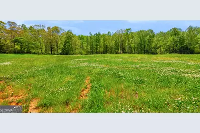 0 Gooseneck Road, Eastanollee, GA 30538 - Photo 11