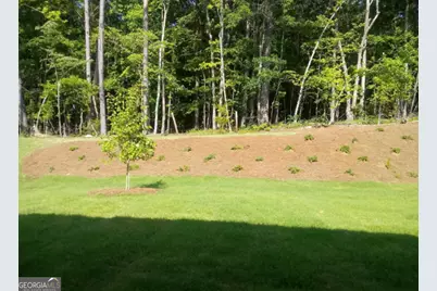 124 Vivian Lane, Peachtree City, GA 30269 - Photo 3