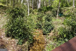 207 Springwood Dr, Clarkesville, GA 30523 - Photo 49