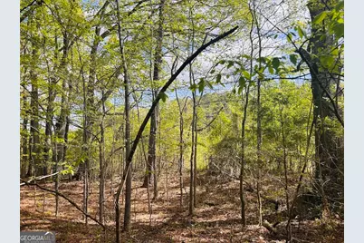 0 Collier Road #TRACT 1, Concord, GA 30206 - Photo 5