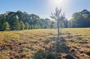 0 Collier Rd, Concord, GA 30206 - Photo 1