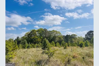 0 Collier Road #TRACT 1, Concord, GA 30206 - Photo 3