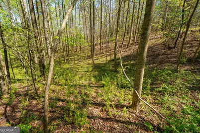 0 Glade Rocks Springs Road, Clarkesville, GA 30523 - Photo 5