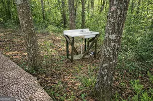 287 Shady Bluff Ln, Waynesville, GA 31566 - Photo 23