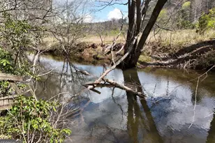 545 Laurel Cir, Blue Ridge, GA 30513 - Photo 19