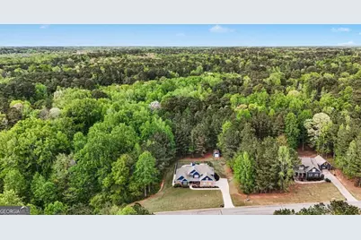 253 Timbercreek Estates Drive, Sharpsburg, GA 30277 - Photo 35