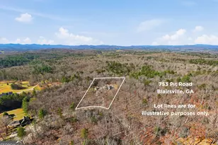 753 Pit Rd, Blairsville, GA 30512 - Photo 71