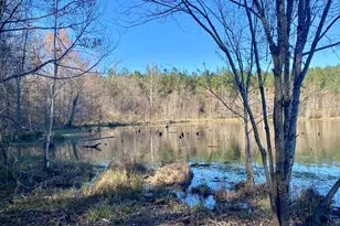 3312 Hunts Chapel Rd, Sparta, GA 31087 - Photo 35