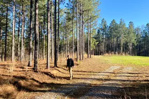 3312 Hunts Chapel Rd, Sparta, GA 31087 - Photo 27