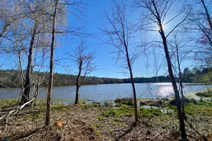 3312 Hunts Chapel Rd, Sparta, GA 31087 - Photo 41