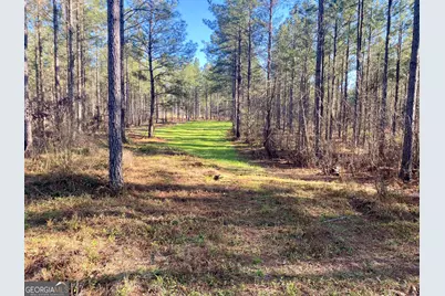 3312 Hunts Chapel Road, Sparta, GA 31087 - Photo 29