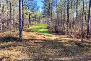 3312 Hunts Chapel Rd, Sparta, GA 31087 - Photo 29