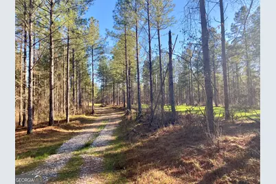 3312 Hunts Chapel Road, Sparta, GA 31087 - Photo 25