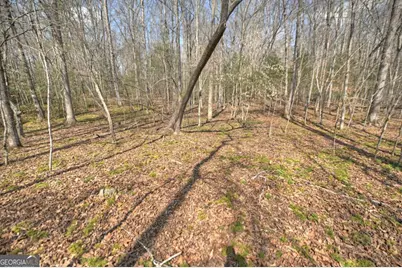 8.52 Ac McNelley Road, Morganton, GA 30560 - Photo 51