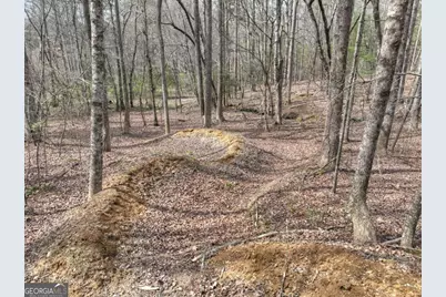 8.52 Ac McNelley Road, Morganton, GA 30560 - Photo 25