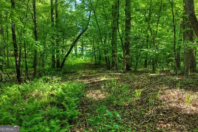 8 Ac McNelley Road, Morganton, GA 30560 - Photo 17