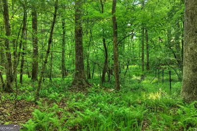 8 Ac McNelley Road, Morganton, GA 30560 - Photo 27